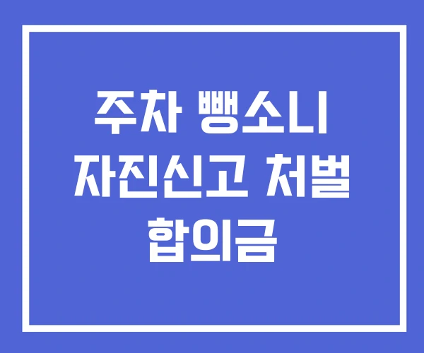 주차 뺑소니 자진신고 처벌 합의금