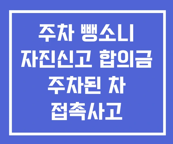 주차 뺑소니 자진신고 합의금 주차된 차 접촉사고