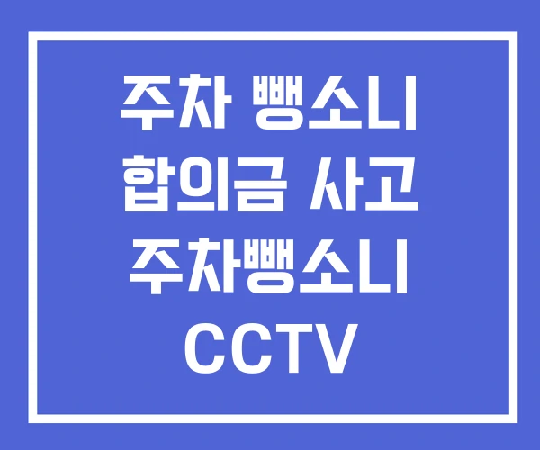 주차 뺑소니 합의금 사고 주차뺑소니 CCTV