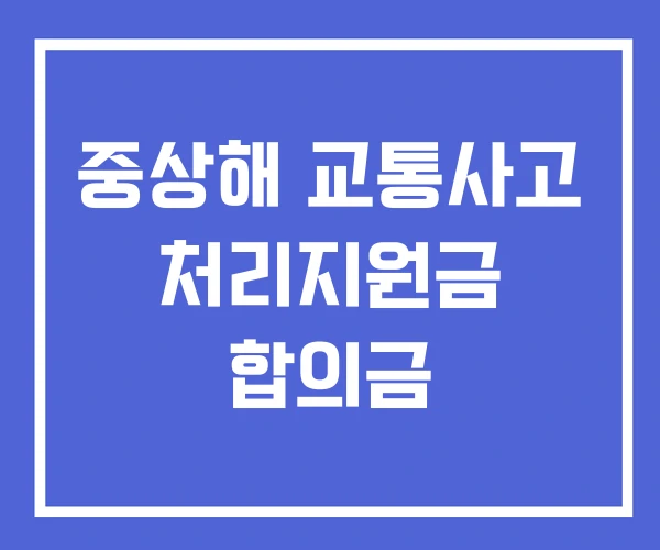 중상해 교통사고 처리지원금 합의금