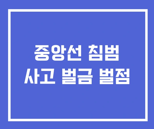 중앙선 침범 사고 벌금 벌점