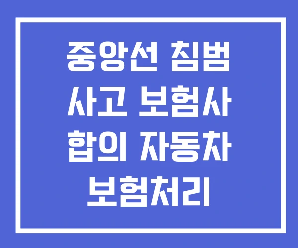 중앙선 침범 사고 보험사 합의 자동차 보험처리 사고처리