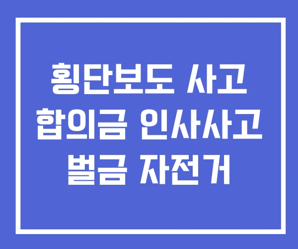 횡단보도 사고 합의금 인사사고 벌금 자전거