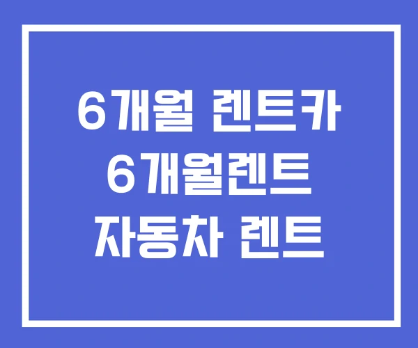 6개월 렌트카 6개월렌트 자동차 렌트