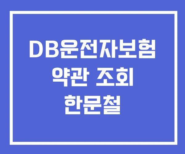 DB운전자보험 약관 조회 한문철