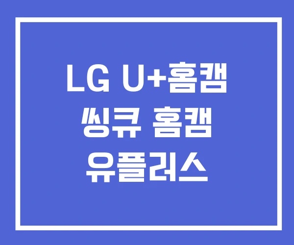 LG U+홈캠 씽큐 홈캠 유플러스