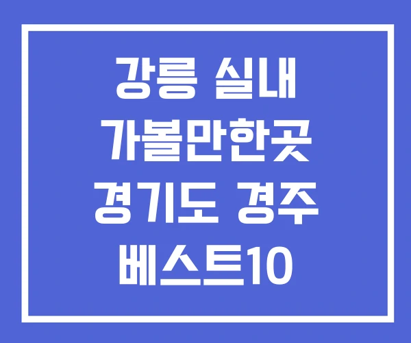 강릉 실내 가볼만한곳 경기도 경주 베스트10