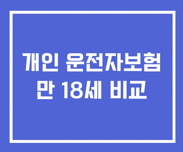 개인 운전자보험 만 18세 비교