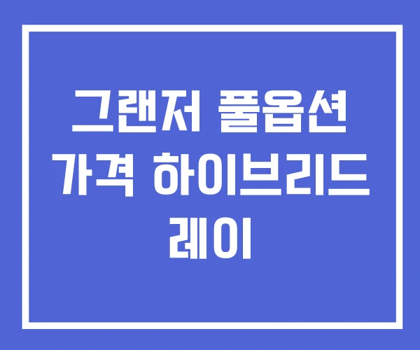 그랜저 풀옵션 가격 하이브리드 레이 그랜저 풀옵션 가격 하이브리드 레이