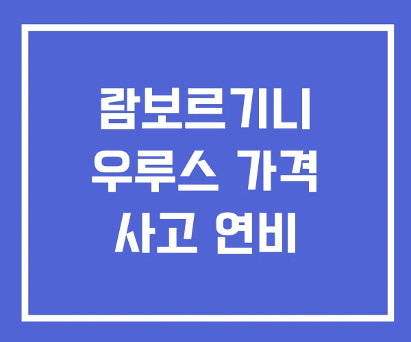 람보르기니 우루스 가격 사고 연비 람보르기니 우루스 가격 사고 연비