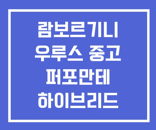 람보르기니 우루스 중고 퍼포만테 하이브리드 람보르기니 우루스 중고 퍼포만테 하이브리드