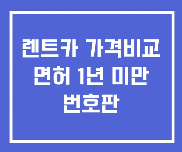 렌트카 가격비교 면허 1년 미만 번호판