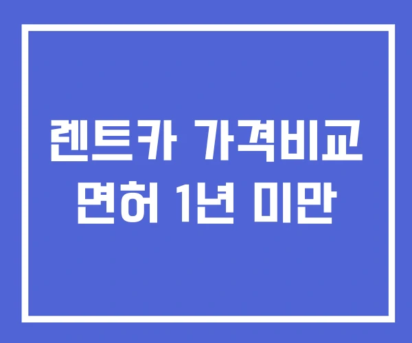 렌트카 가격비교 면허 1년 미만