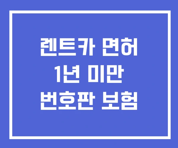 렌트카 면허 1년 미만 번호판 보험