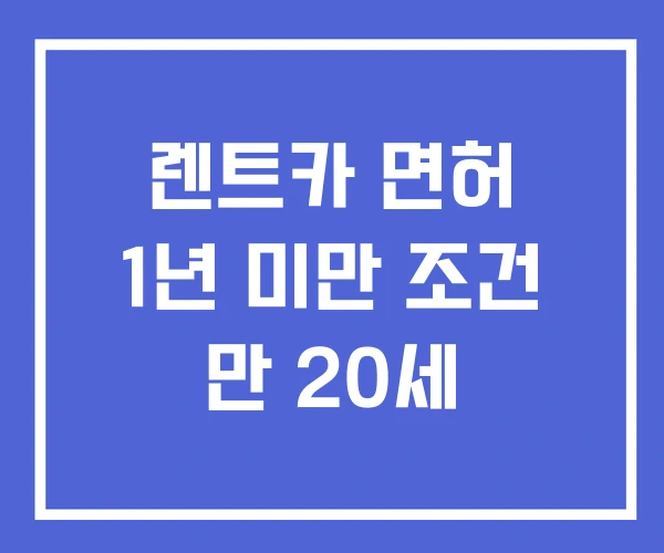 렌트카 면허 1년 미만 조건 만 20세