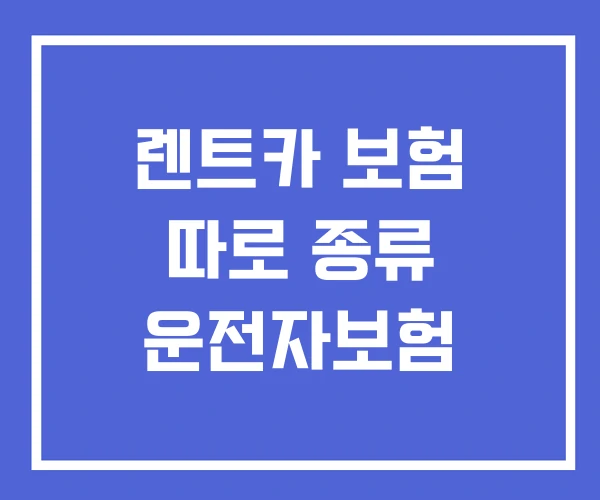 렌트카 보험 따로 종류 운전자보험