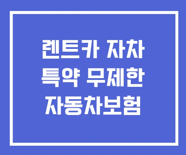 렌트카 자차 특약 무제한 자동차보험