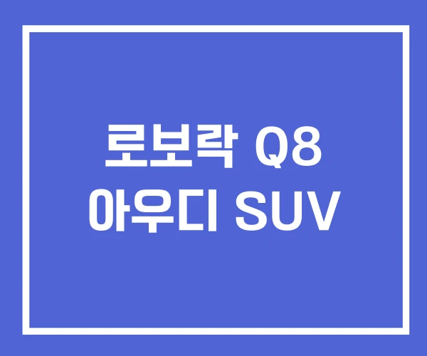로보락 Q8 아우디 SUV