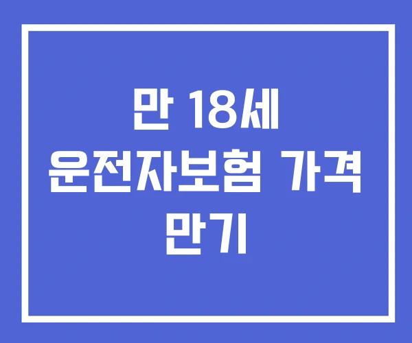 만 18세 운전자보험 가격 만기 만 18세 운전자보험 가격 만기