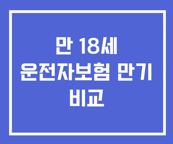만 18세 운전자보험 만기 비교 만 18세 운전자보험 만기 비교