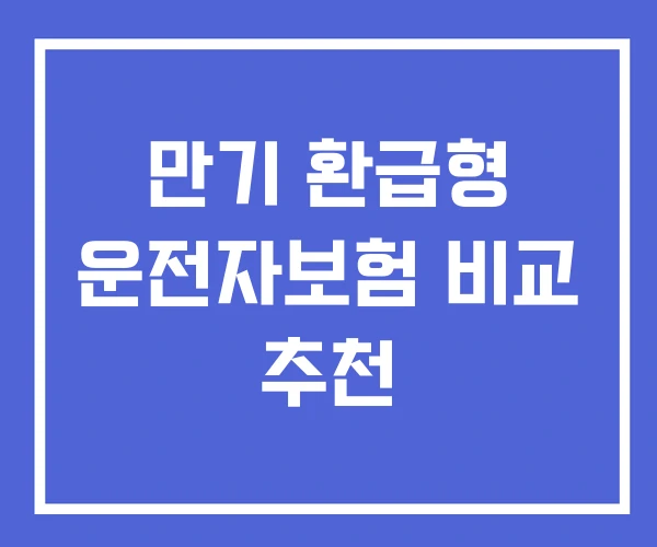 만기 환급형 운전자보험 비교 추천 만기 환급형 운전자보험 비교 추천