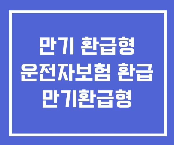 만기 환급형 운전자보험 환급 만기환급형 만기 환급형 운전자보험 환급 만기환급형