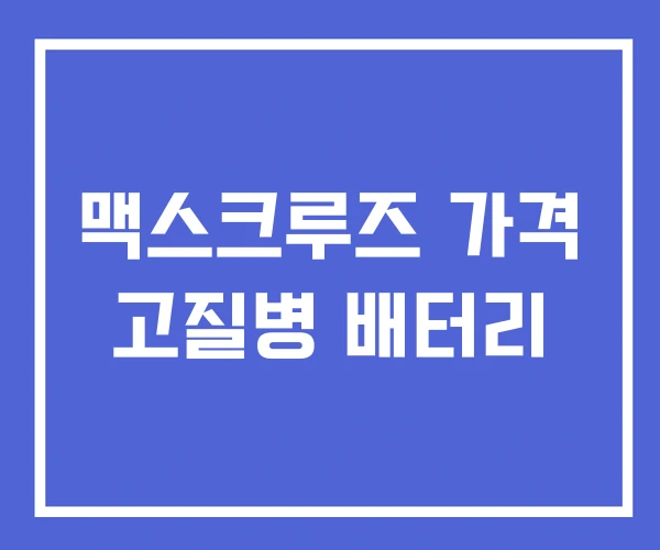 맥스크루즈 가격 고질병 배터리