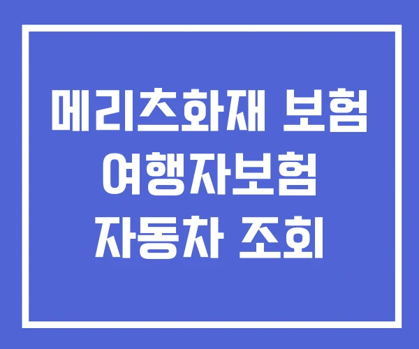 메리츠화재 보험 여행자보험 자동차 조회 메리츠화재 보험 여행자보험 자동차 조회