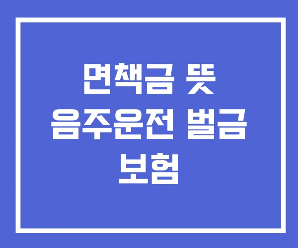 면책금 뜻 음주운전 벌금 보험 면책금 뜻 음주운전 벌금 보험