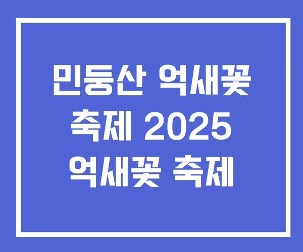 민둥산 억새꽃 축제 2025 억새꽃 축제