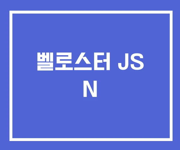 벨로스터 JS N