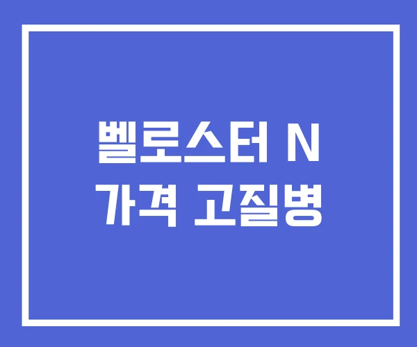 벨로스터 N 가격 고질병