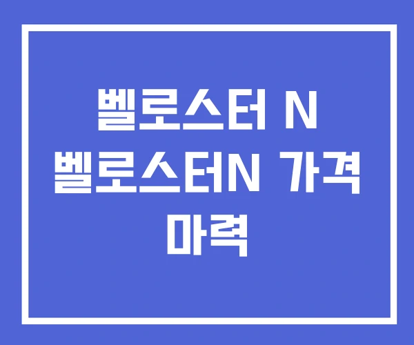 벨로스터 N 벨로스터N 가격 마력