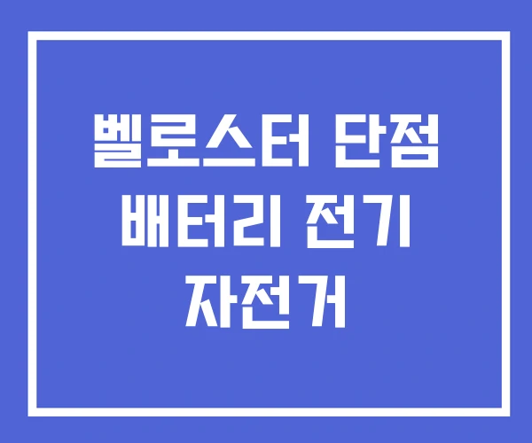 벨로스터 단점 배터리 전기 자전거 벨로스터 단점 배터리 전기 자전거
