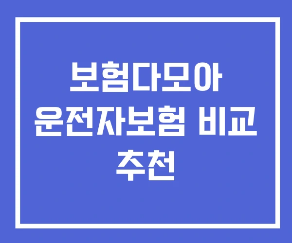 보험다모아 운전자보험 비교 추천 보험다모아 운전자보험 비교 추천