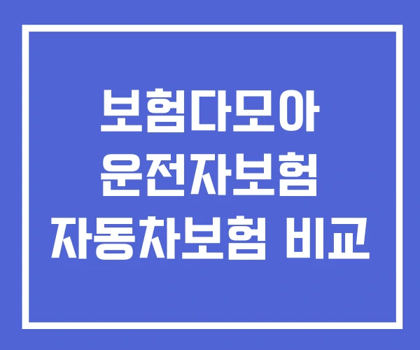 보험다모아 운전자보험 자동차보험 비교 보험다모아 운전자보험 자동차보험 비교