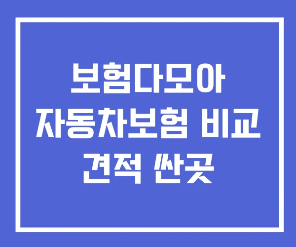 보험다모아 자동차보험 비교 견적 싼곳 보험다모아 자동차보험 비교 견적 싼곳