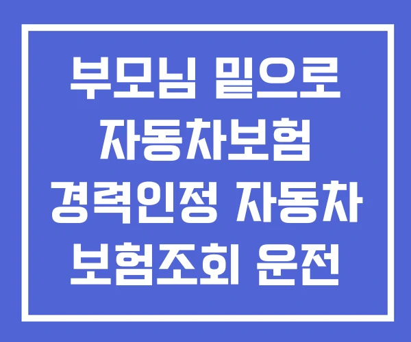 부모님 밑으로 자동차보험 경력인정 자동차 보험조회 운전