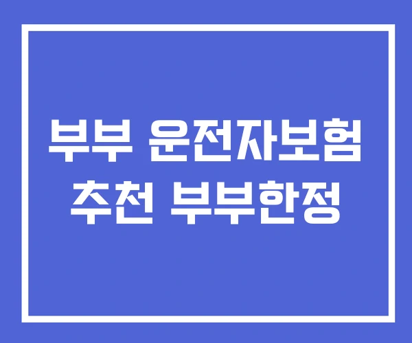 부부 운전자보험 추천 부부한정
