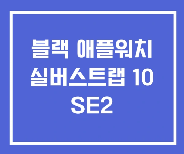 블랙 애플워치 실버스트랩 10 SE2 블랙 애플워치 실버스트랩 10 SE2