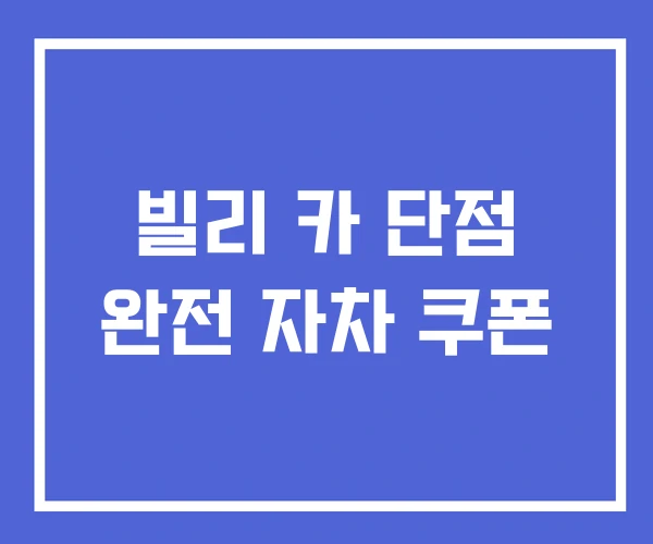 빌리 카 단점 완전 자차 쿠폰