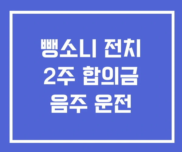 뺑소니 전치 2주 합의금 음주 운전 뺑소니 전치 2주 합의금 음주 운전