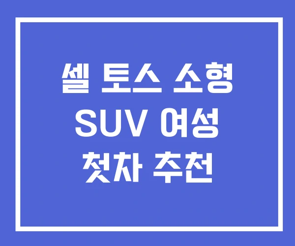 셀 토스 소형 SUV 여성 첫차 추천 셀 토스 소형 SUV 여성 첫차 추천