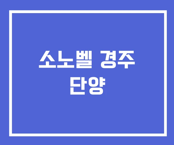 소노벨 경주 단양 소노벨 경주 단양