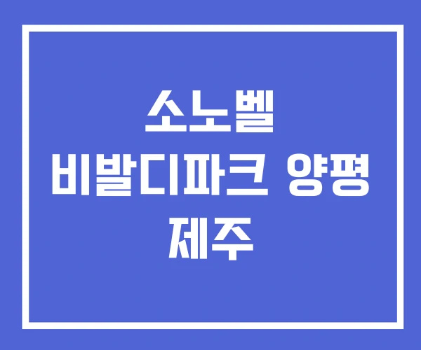 소노벨 비발디파크 양평 제주 소노벨 비발디파크 양평 제주