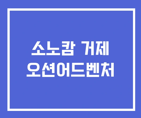 소노캄 거제 오션어드벤처 소노캄 거제 오션어드벤처
