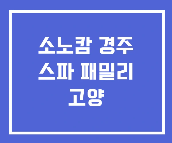소노캄 경주 스파 패밀리 고양