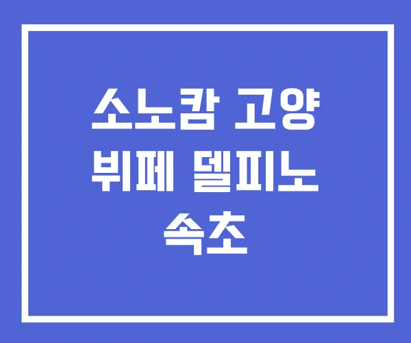 소노캄 고양 뷔페 델피노 속초 소노캄 고양 뷔페 델피노 속초