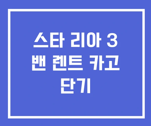 스타 리아 3 밴 렌트 카고 단기