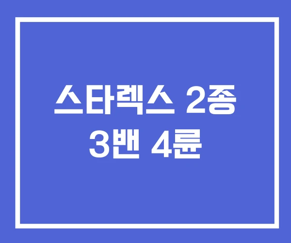 스타렉스 2종 3밴 4륜